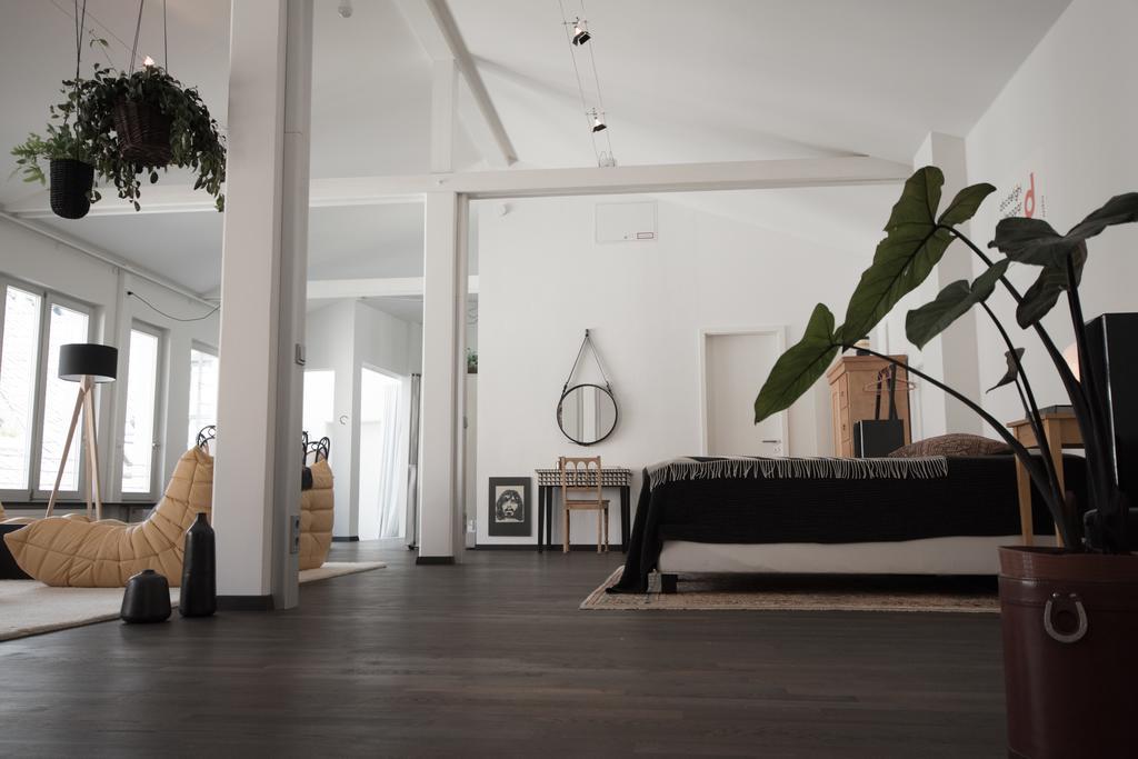 Apartment Artist Loft - 120 M2 Weimar (Thüringen)